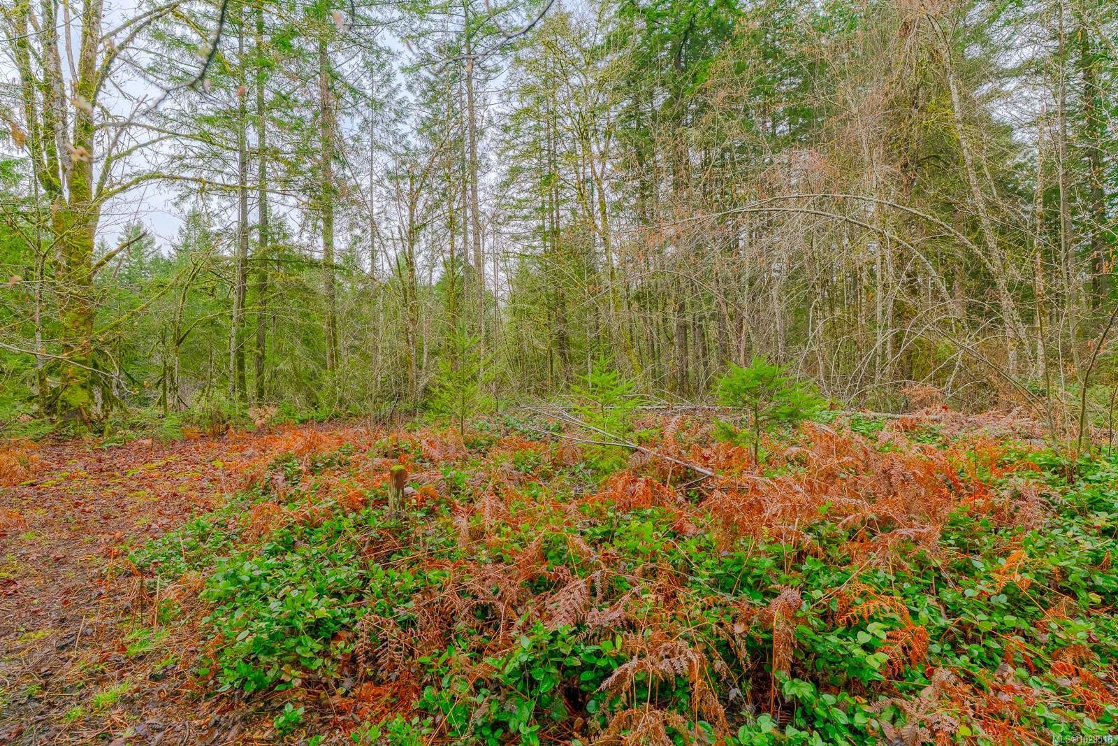 4935 Langtry Rd, Duncan, BC