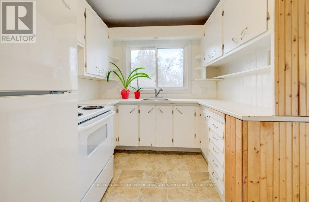 151 Franklin Street N, Kitchener, ON - Indoor Photo Showing Kitchen