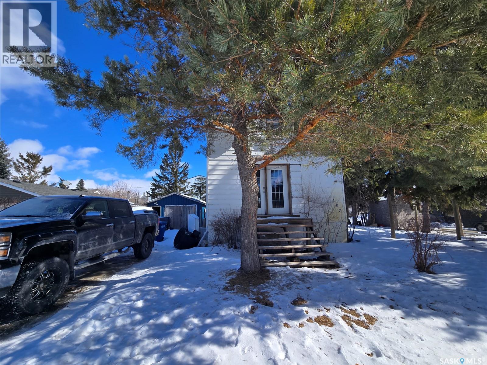 107 Van Horne Street, Windthorst, SK - Outdoor