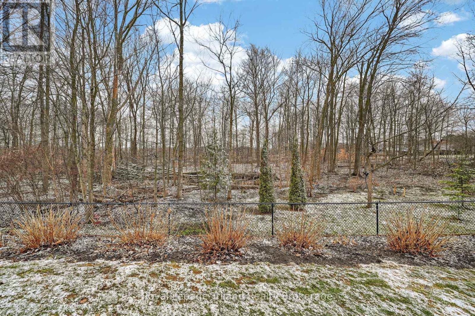 View from back!! - 46 Colin Avenue, Tillsonburg, ON - Outdoor With View