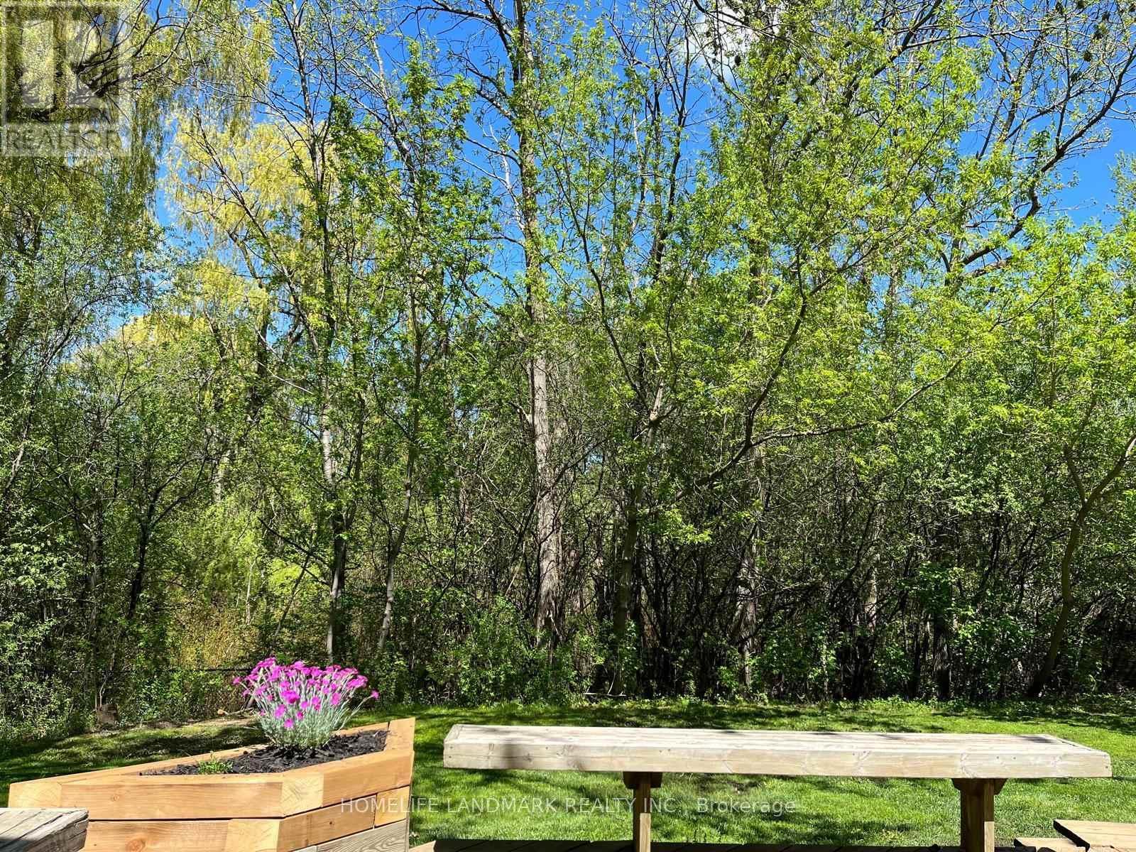 16 Willis Drive, Aurora, ON - Outdoor With View