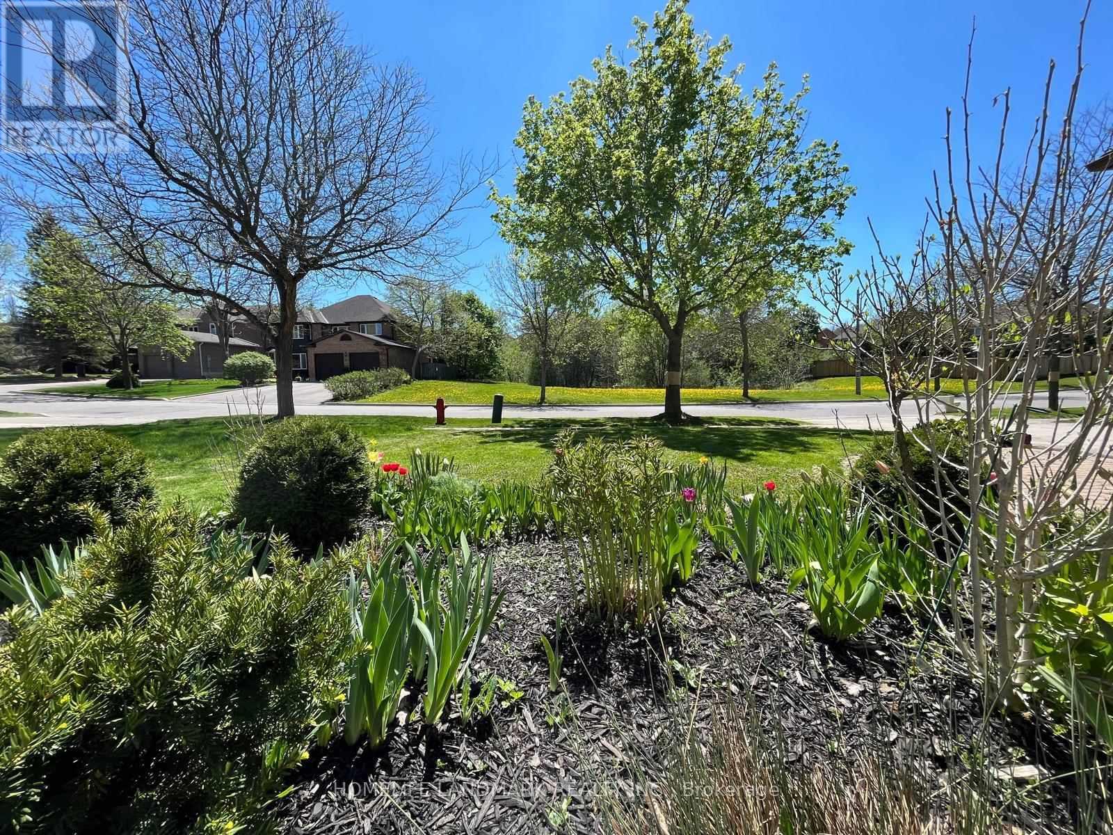 16 Willis Drive, Aurora, ON - Outdoor