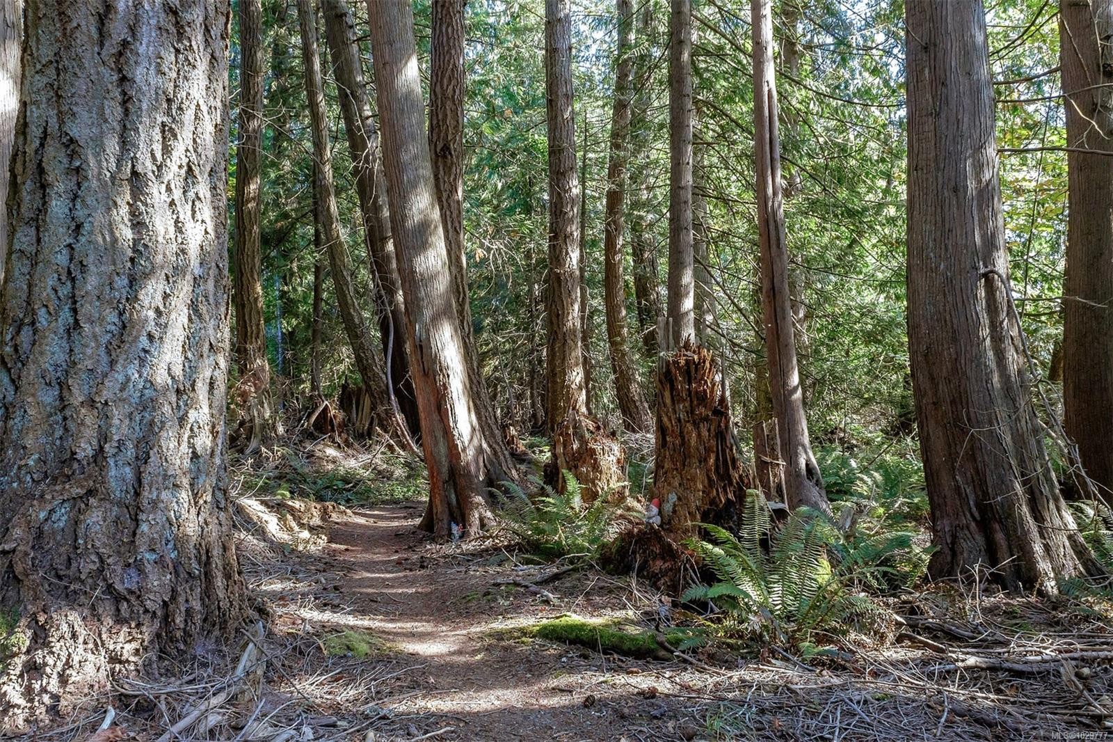 10741 Chemainus Rd, Ladysmith, BC