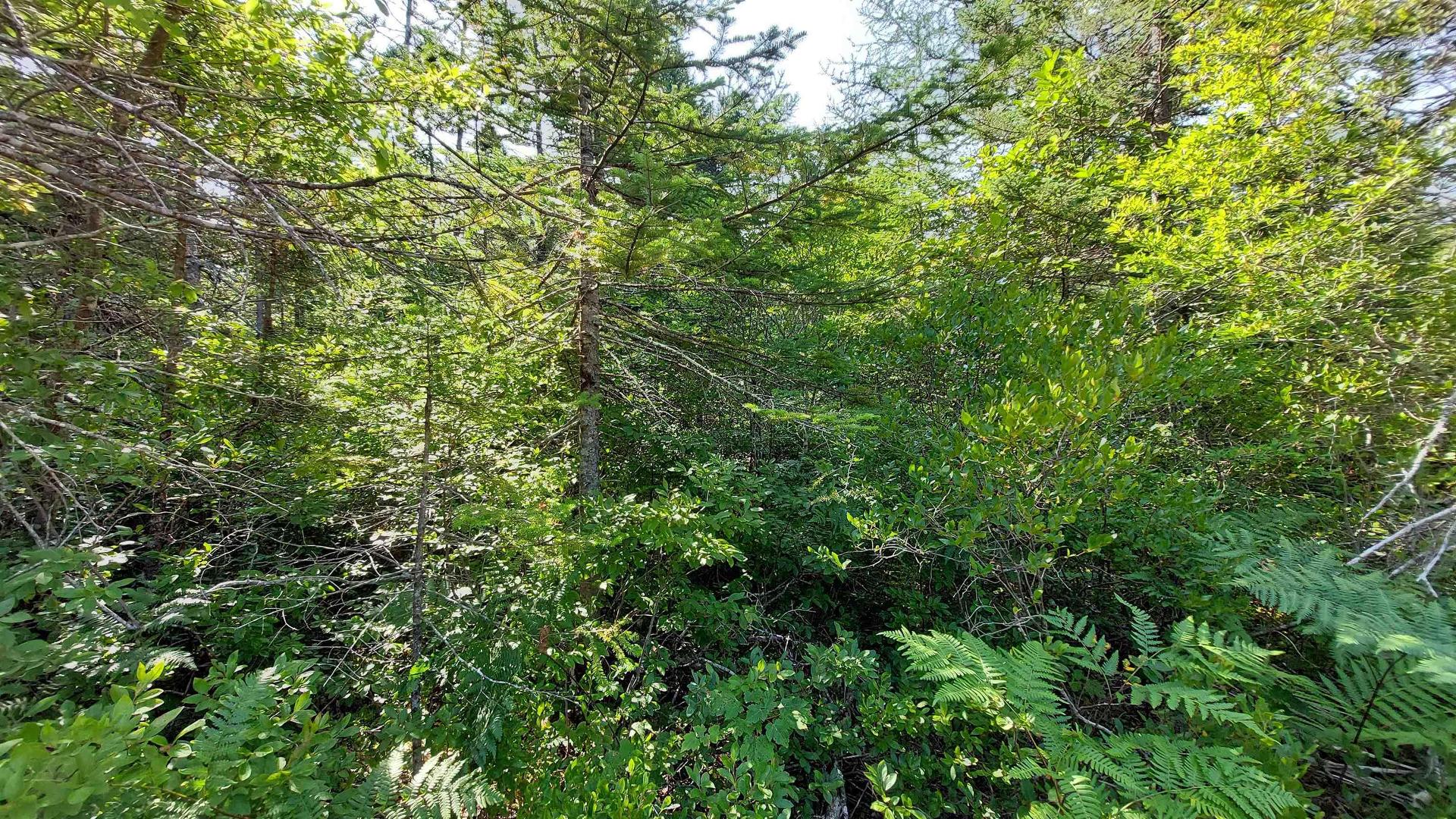 70 Acre Highway 4, Grande Anse, NS