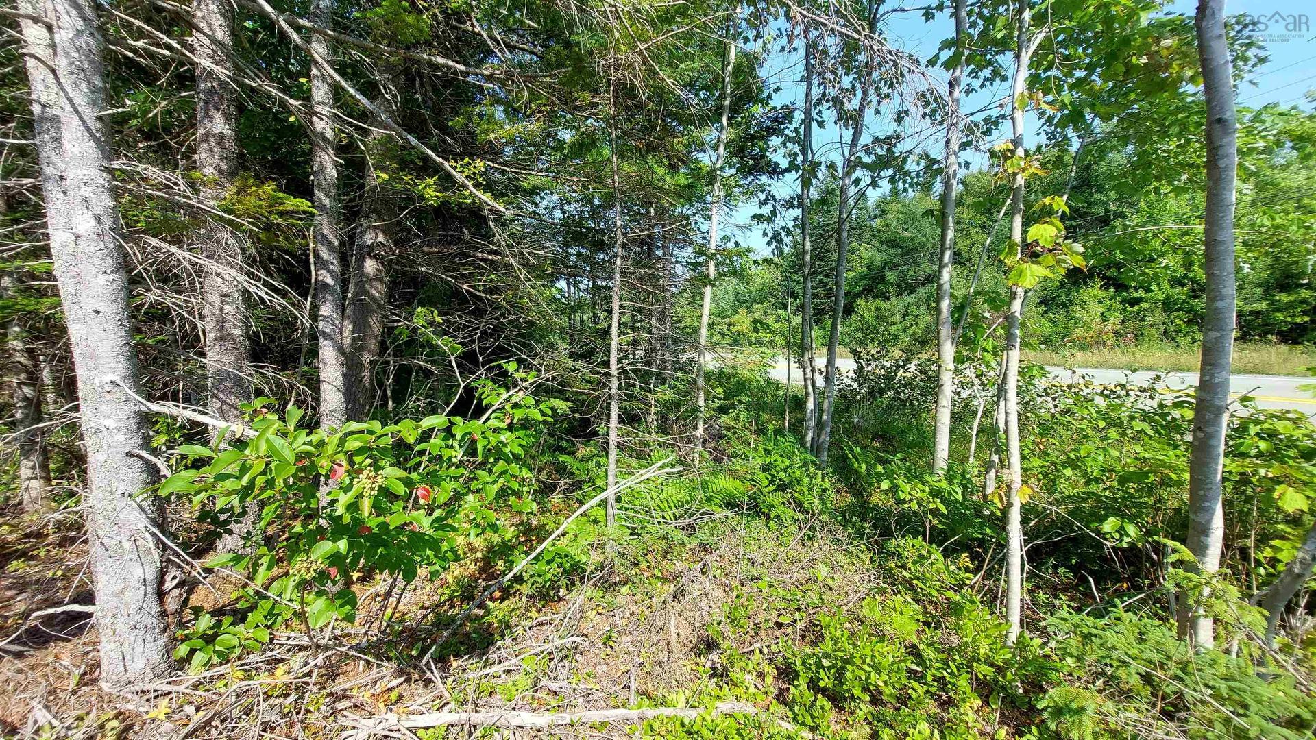 70 Acre Highway 4, Grande Anse, NS