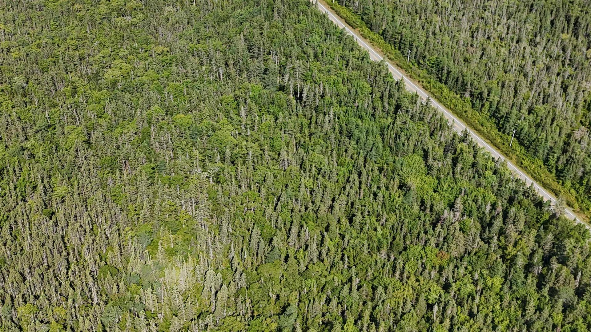 70 Acre Highway 4, Grande Anse, NS