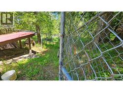 Dog Run -
