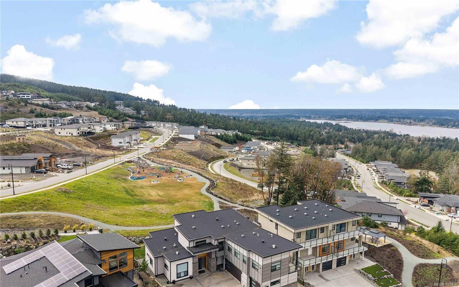 1201 Viewtop Rd, Duncan, BC - Outdoor With View