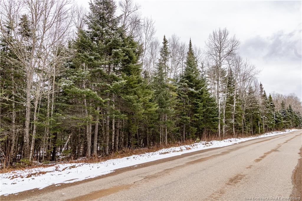 Lot 6 Plumweseep Rd, Plumweseep, NB