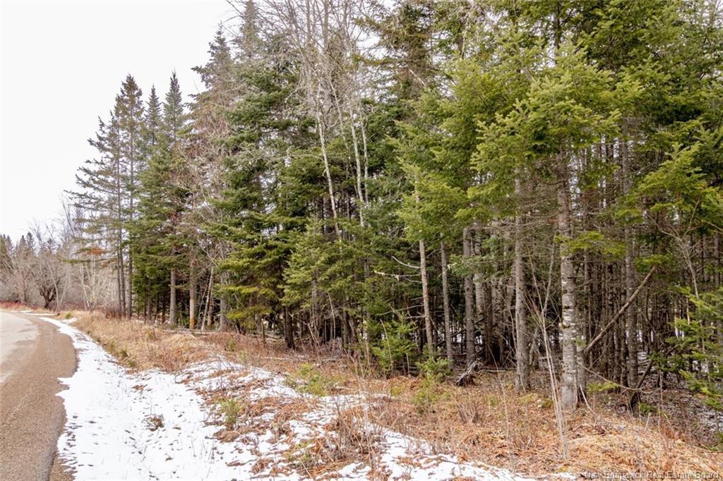 Lot 6 Plumweseep Rd, Plumweseep, NB