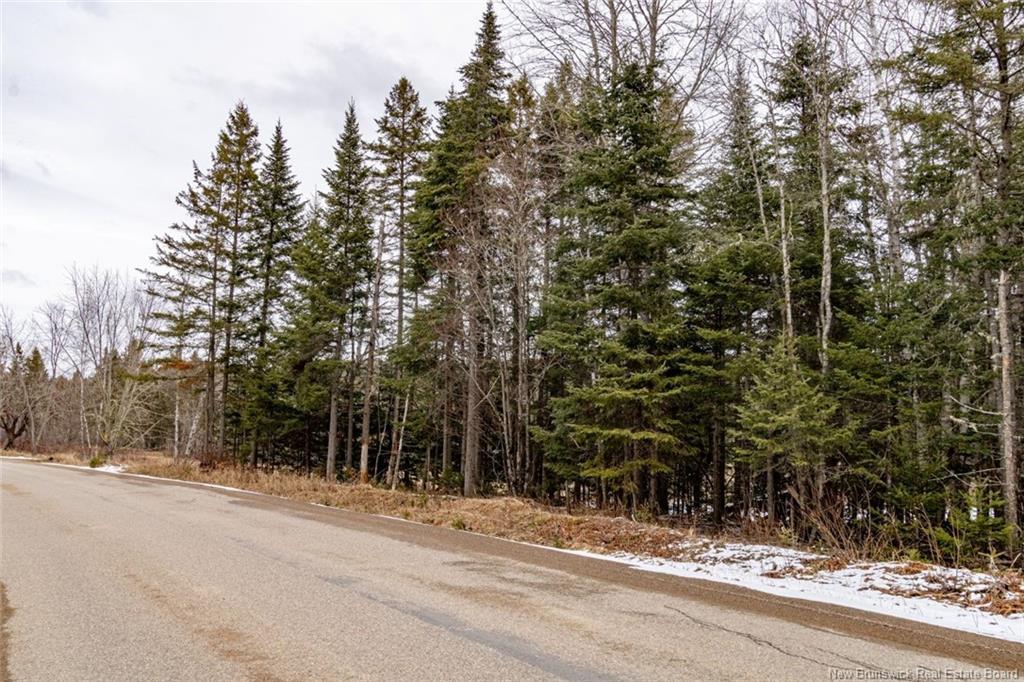 Lot 6 Plumweseep Rd, Plumweseep, NB