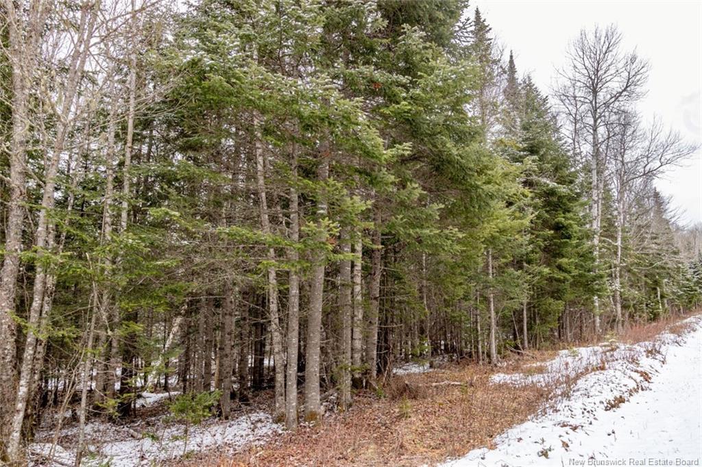Lot 6 Plumweseep Rd, Plumweseep, NB