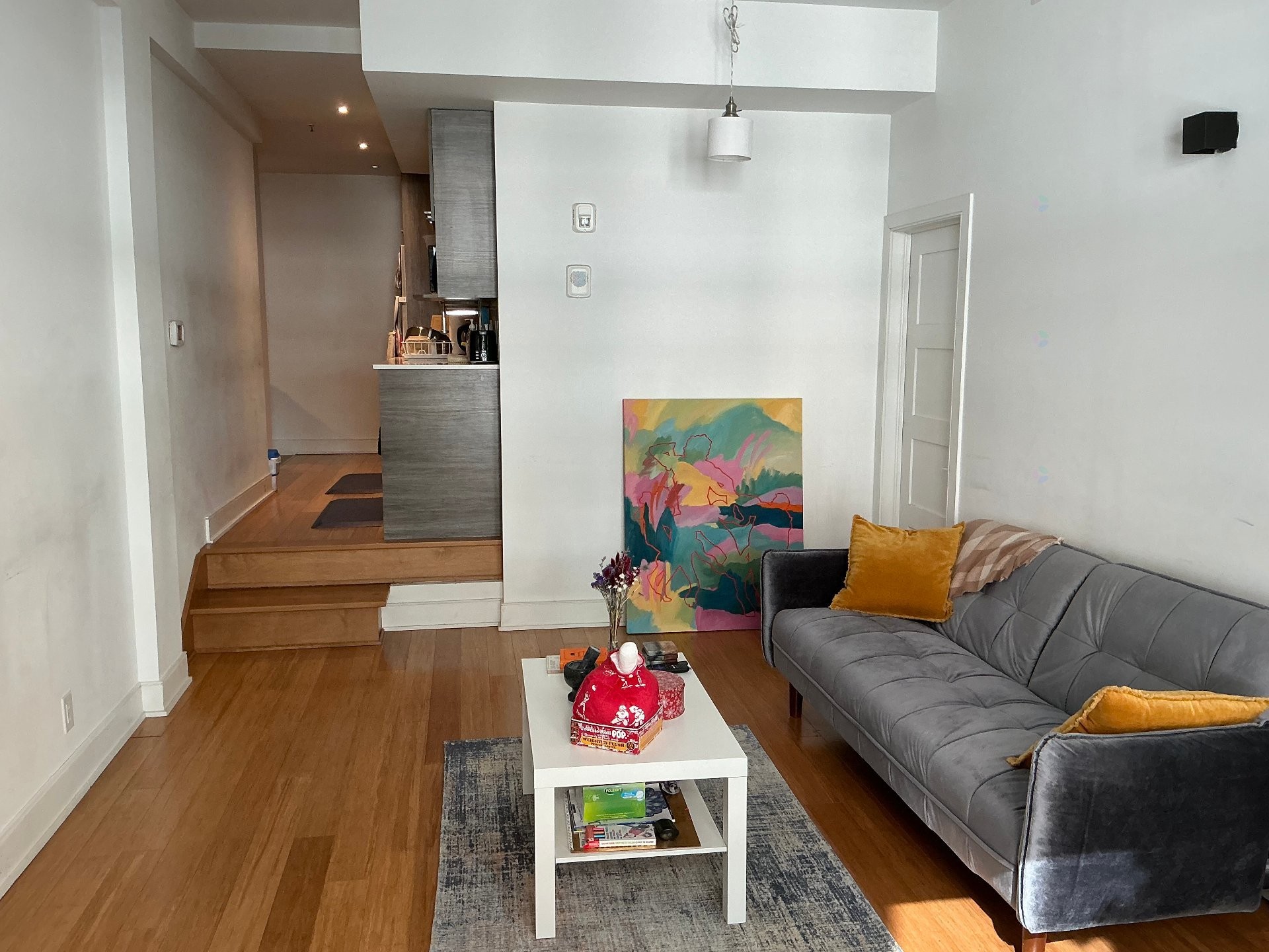 Living Room - 302-1212 Rue Bishop, Montréal (Ville-Marie), QC - Indoor Photo Showing Living Room