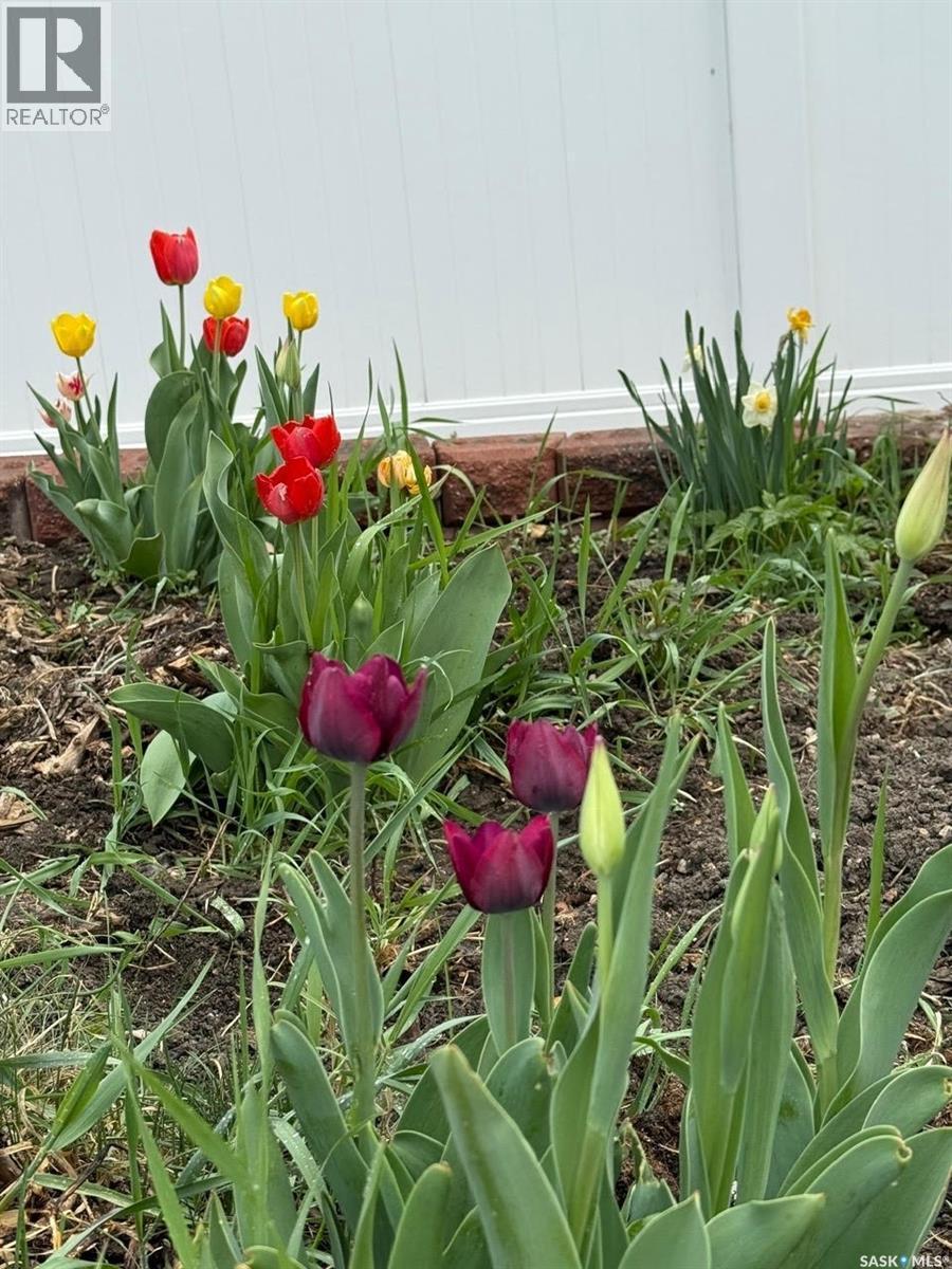 55 Schneider Crescent, Regina, SK -