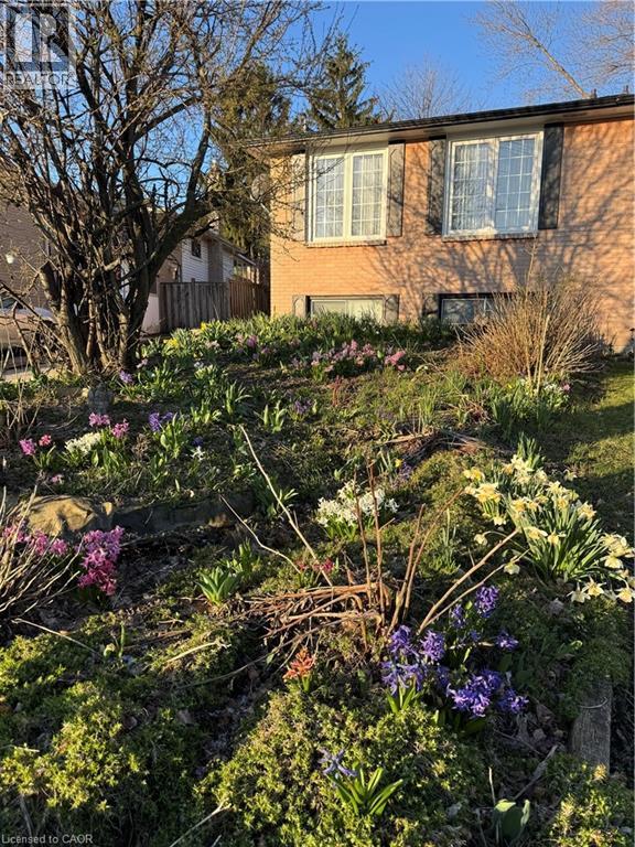 Landscaped front yard featuring a variety of blooming spring flowers, mature trees, and natural rock accents - 222 Greencedar Drive, Hamilton, ON - Outdoor