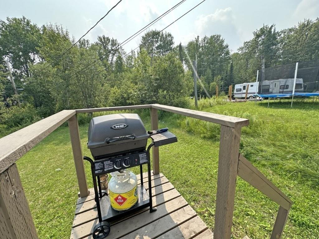 130 Harkness Street, Nipigon, ON - Outdoor