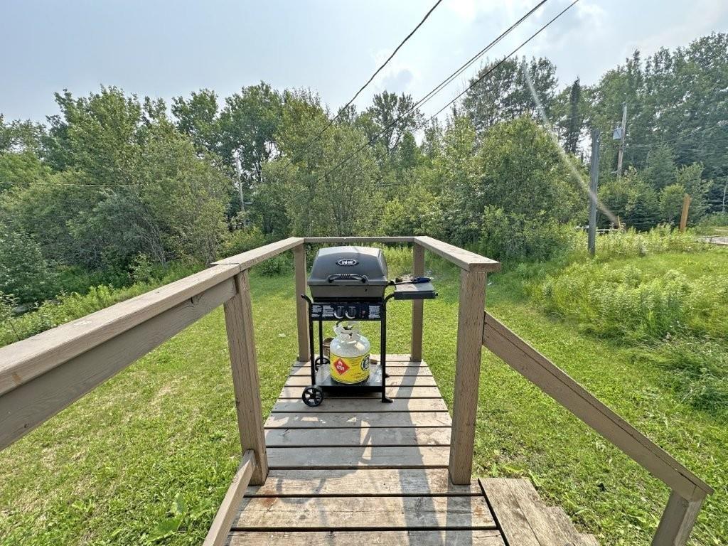 130 Harkness Street, Nipigon, ON - Outdoor