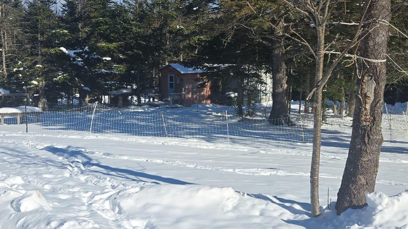 1802 Highway 344, Port Shoreham, NS