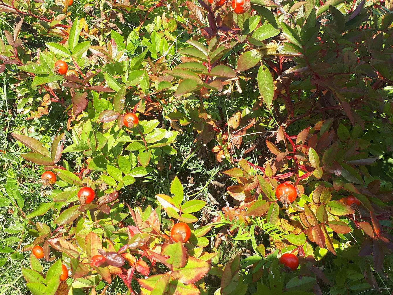 75 Evanston Rd, Cleveland, NS