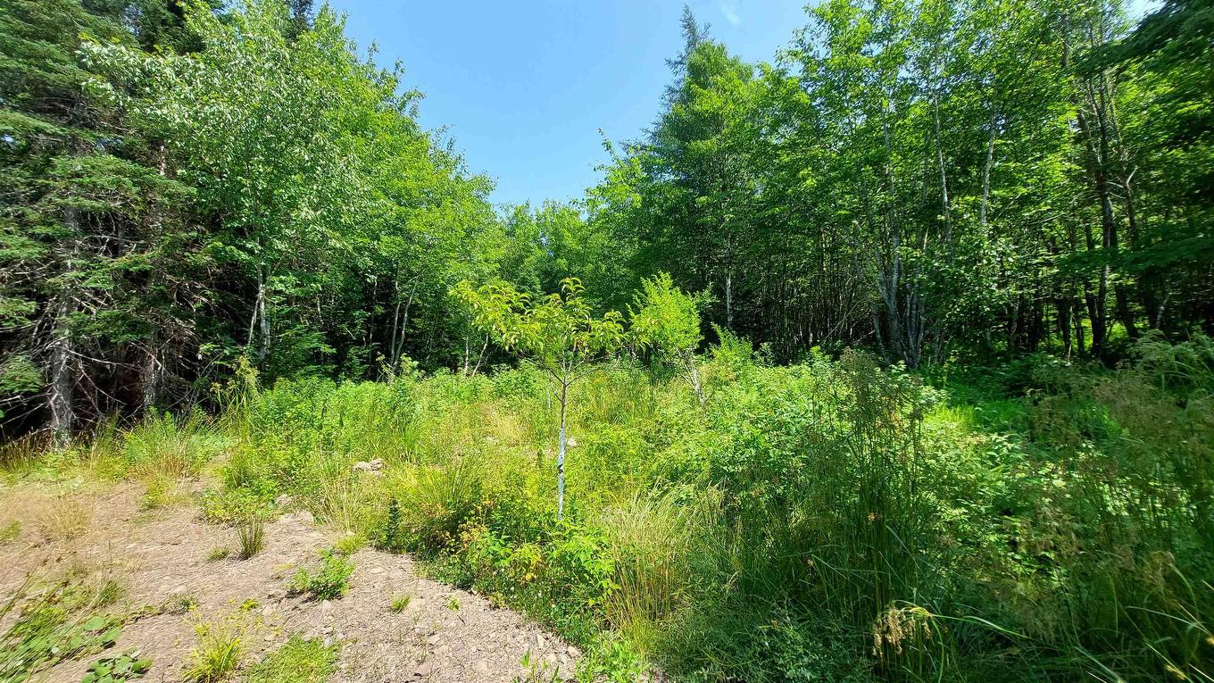 75 Evanston Rd, Cleveland, NS