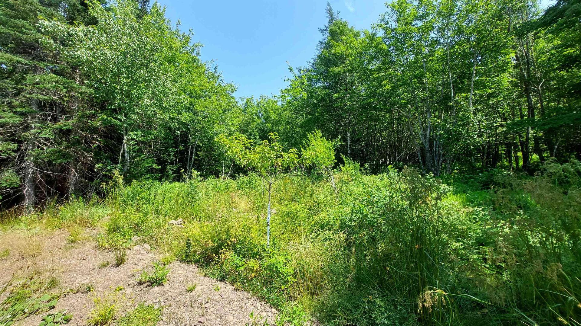 75 Evanston Rd, Cleveland, NS