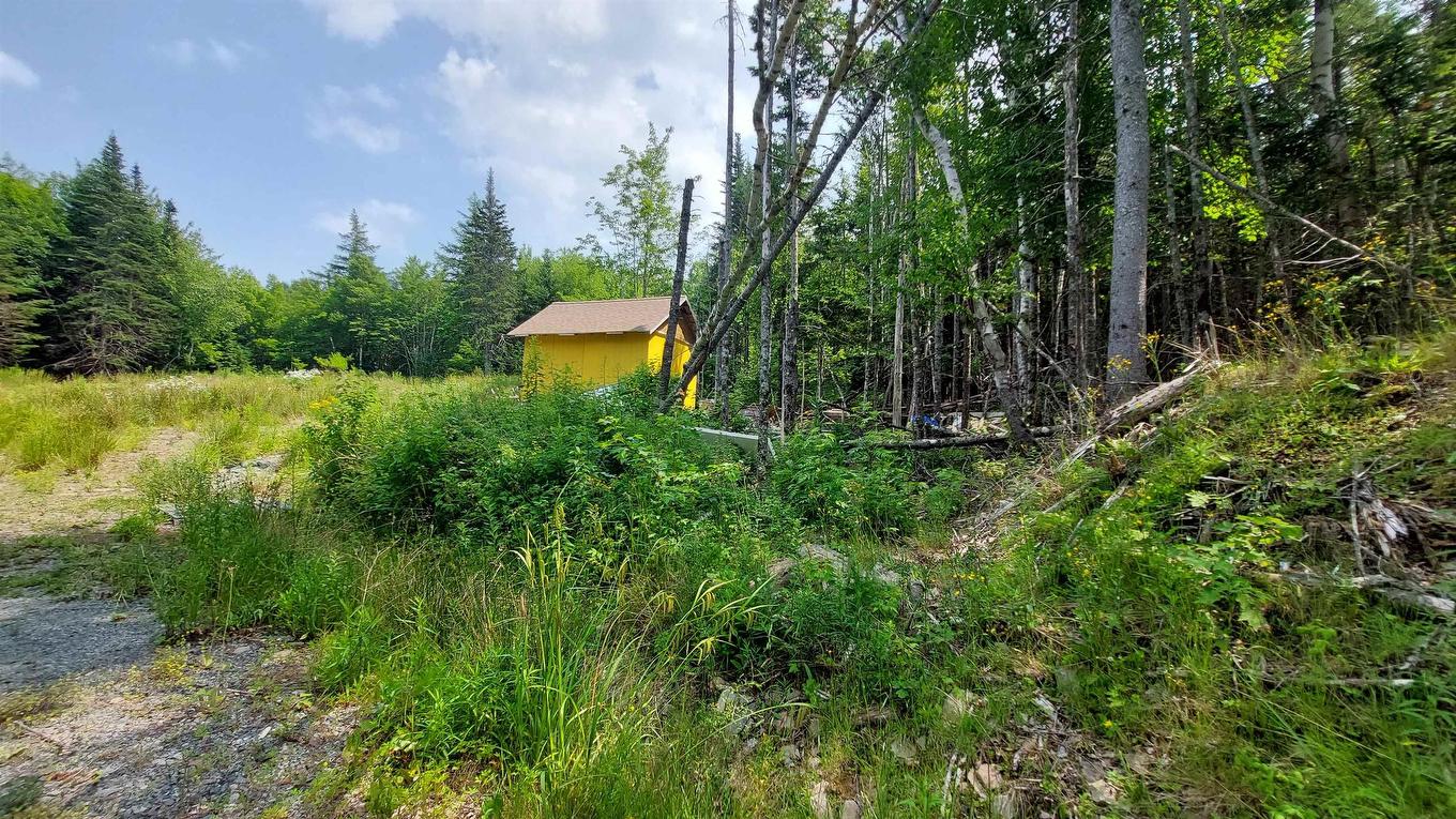 75 Evanston Rd, Cleveland, NS