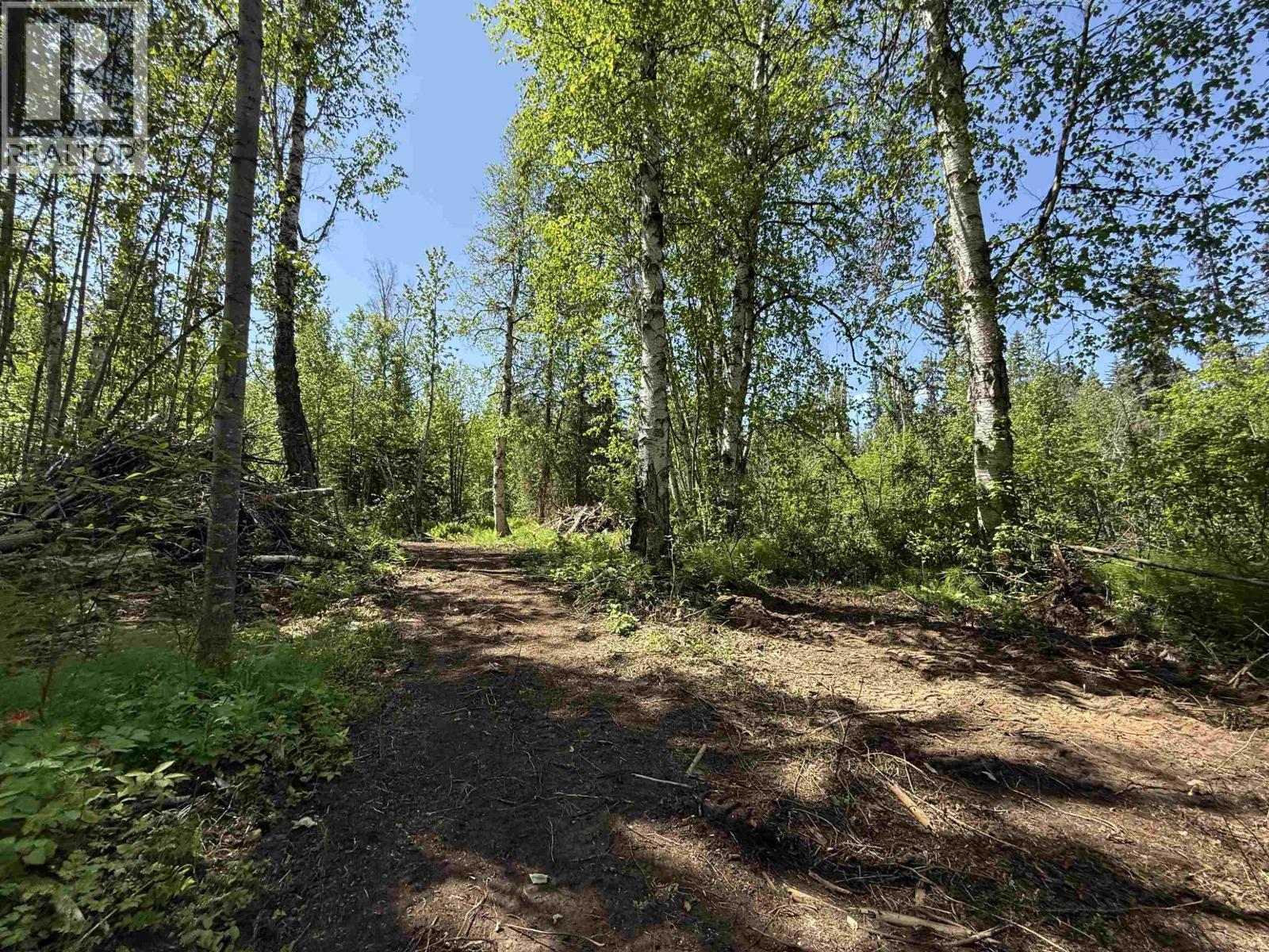 24151 River Road, Smithers, BC - Outdoor With View