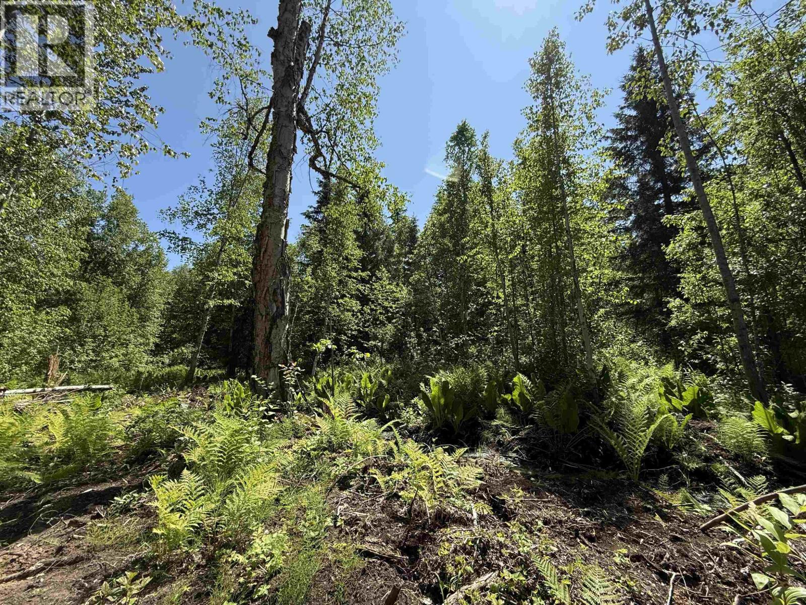 24151 River Road, Smithers, BC - Outdoor