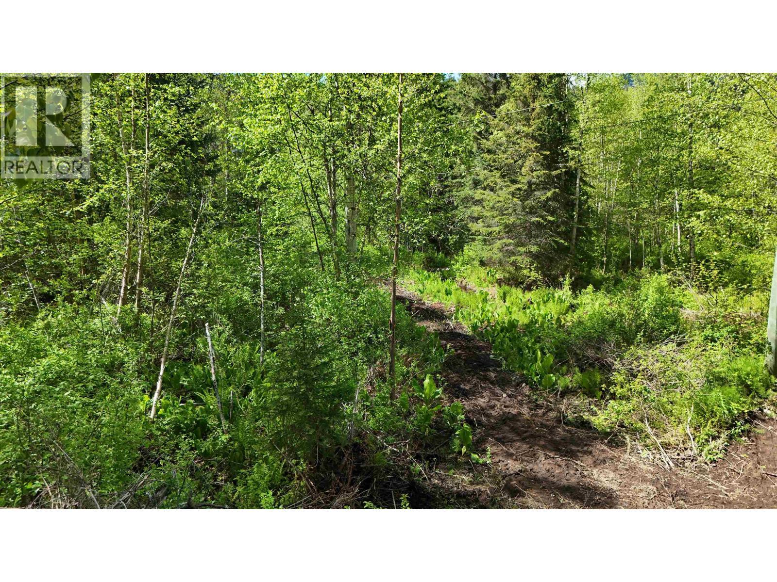24151 River Road, Smithers, BC - Outdoor