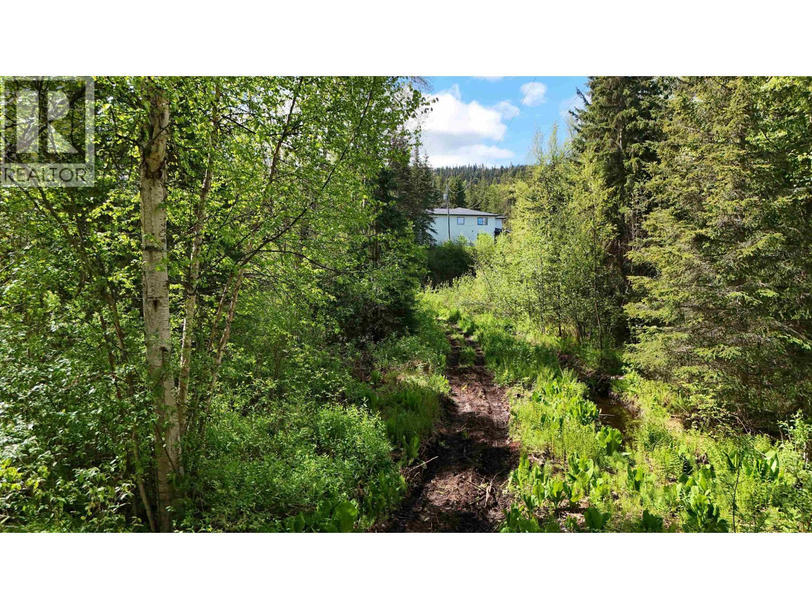 24151 River Road, Smithers, BC - Outdoor