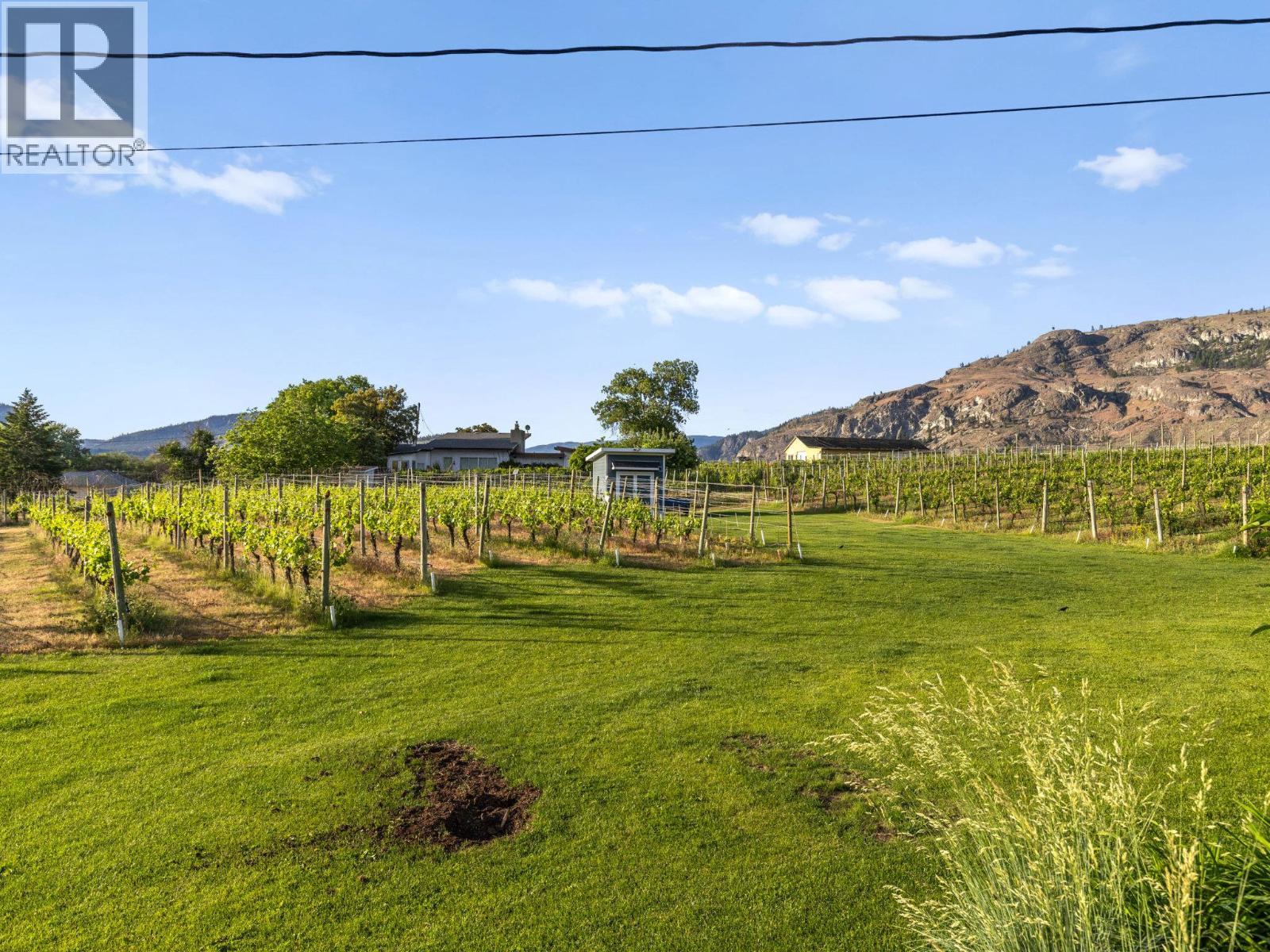 7207 Tucelnuit Drive, Oliver, BC - Outdoor With View