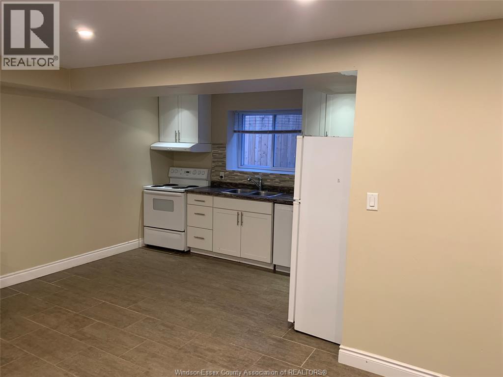 829 Arthur Avenue Unit# Basement, Windsor, ON - Indoor Photo Showing Kitchen With Double Sink