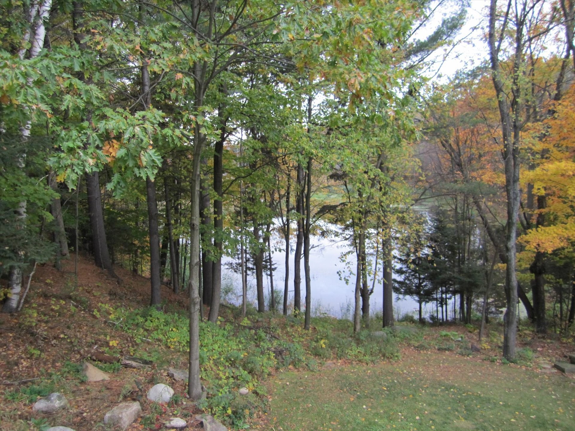 Extérieur - 428 Rue Brookside, Hudson, QC - Outdoor With View