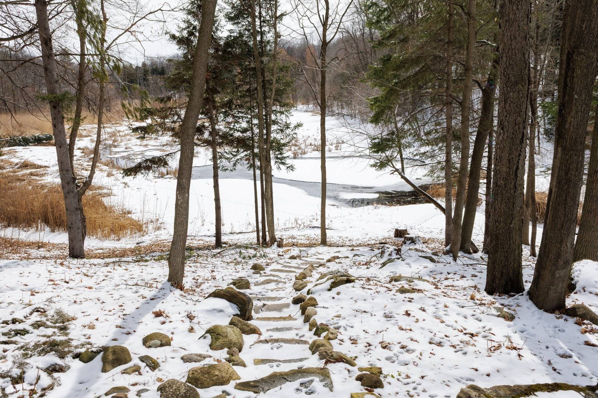 Extérieur - 428 Rue Brookside, Hudson, QC - Outdoor With View