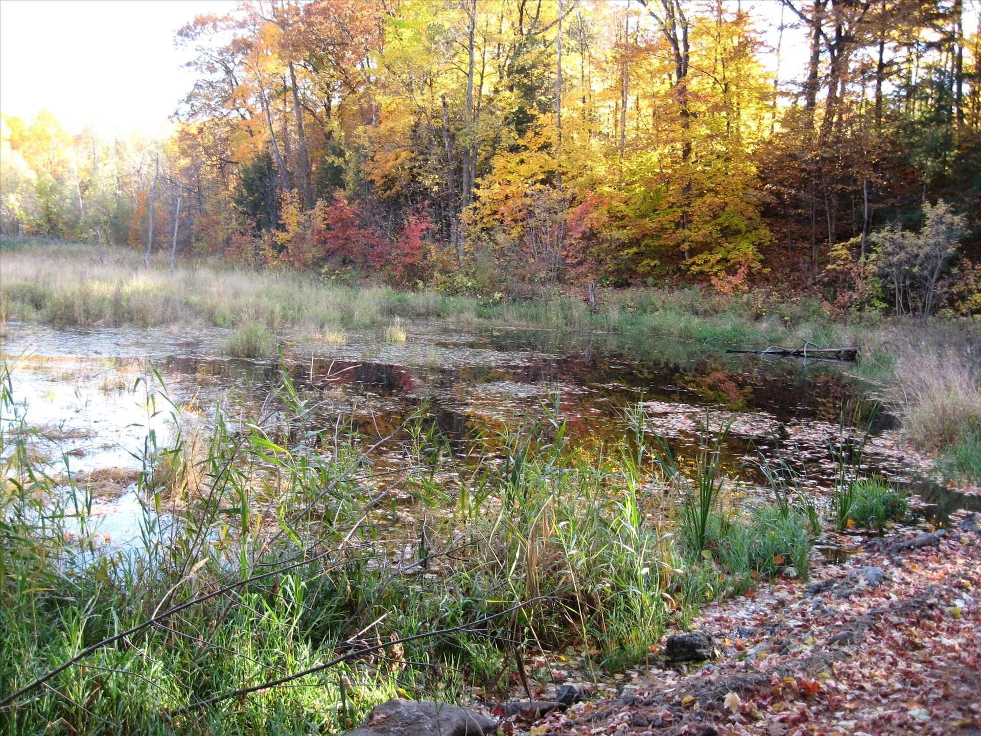 Extérieur - 428 Rue Brookside, Hudson, QC - Outdoor