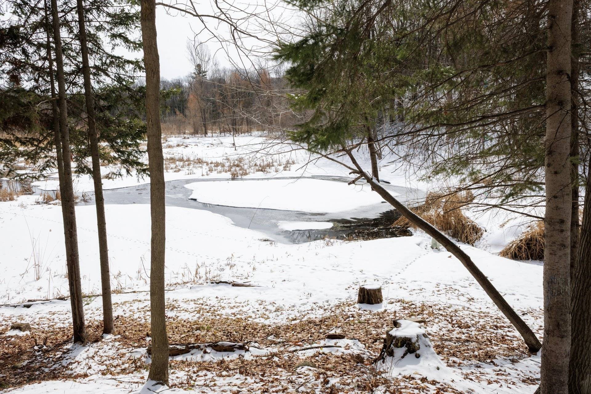 Extérieur - 428 Rue Brookside, Hudson, QC - Outdoor With View