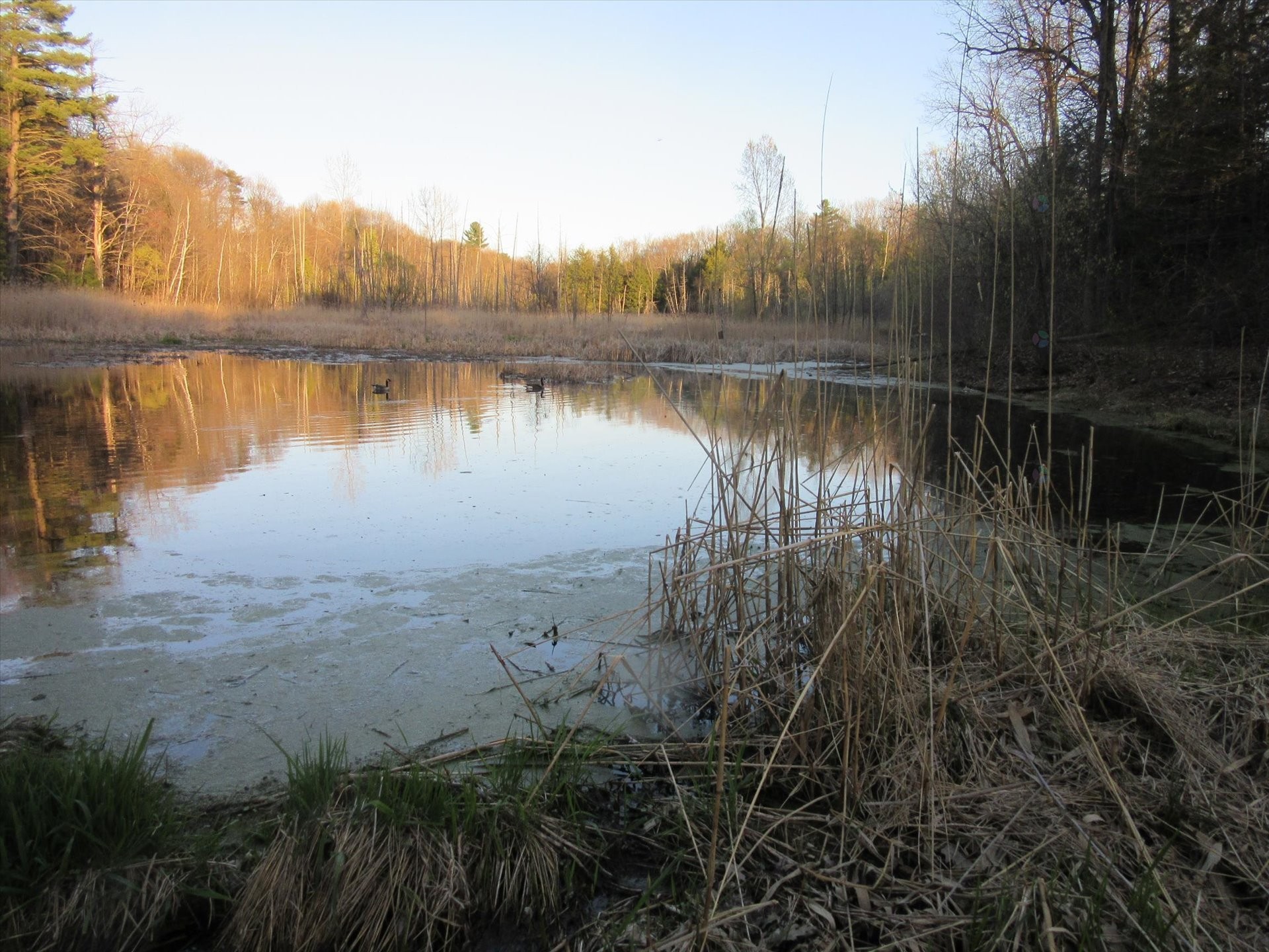 Autre - 428 Rue Brookside, Hudson, QC - Outdoor With Body Of Water With View