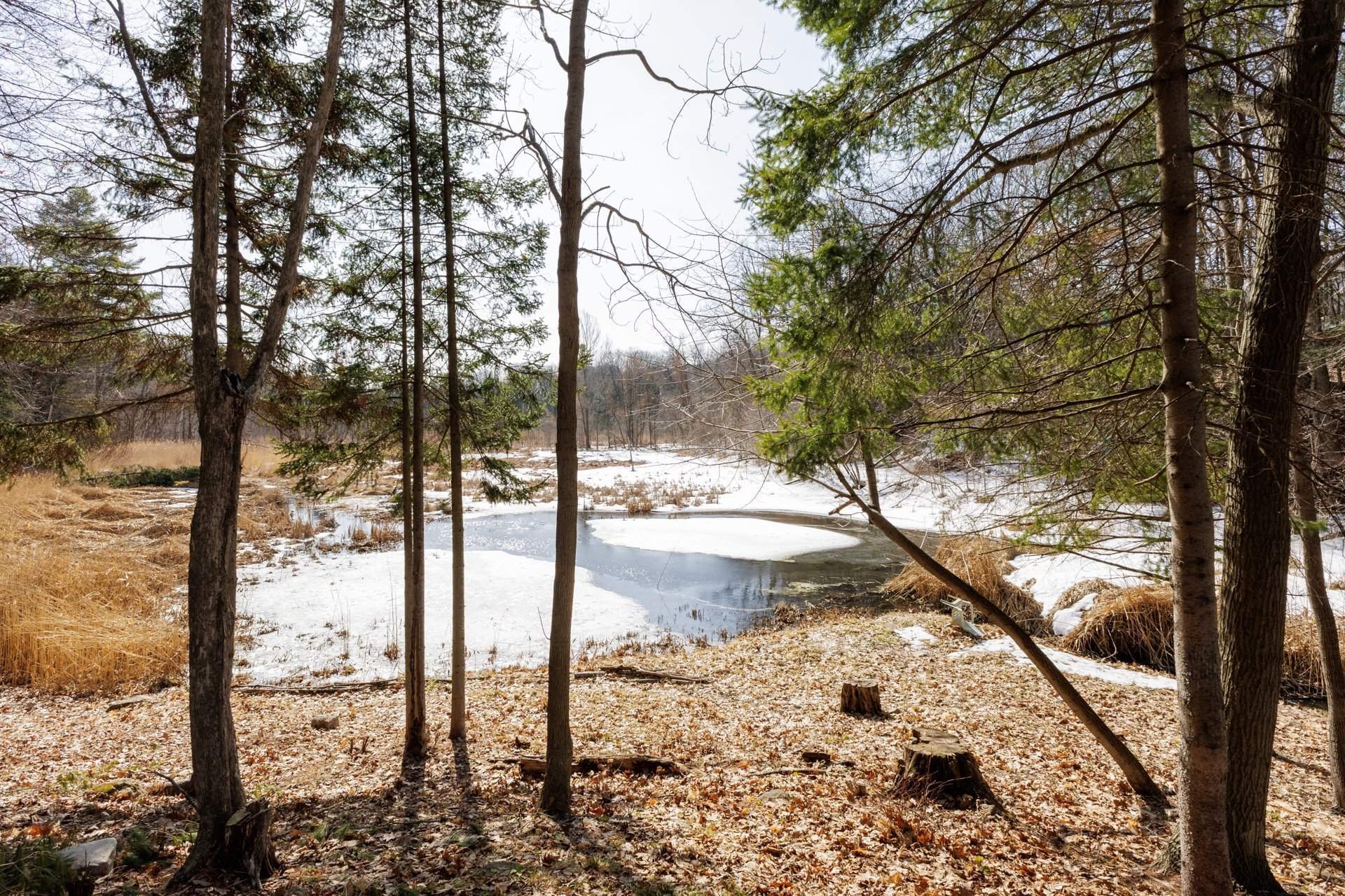 Autre - 428 Rue Brookside, Hudson, QC - Outdoor With View