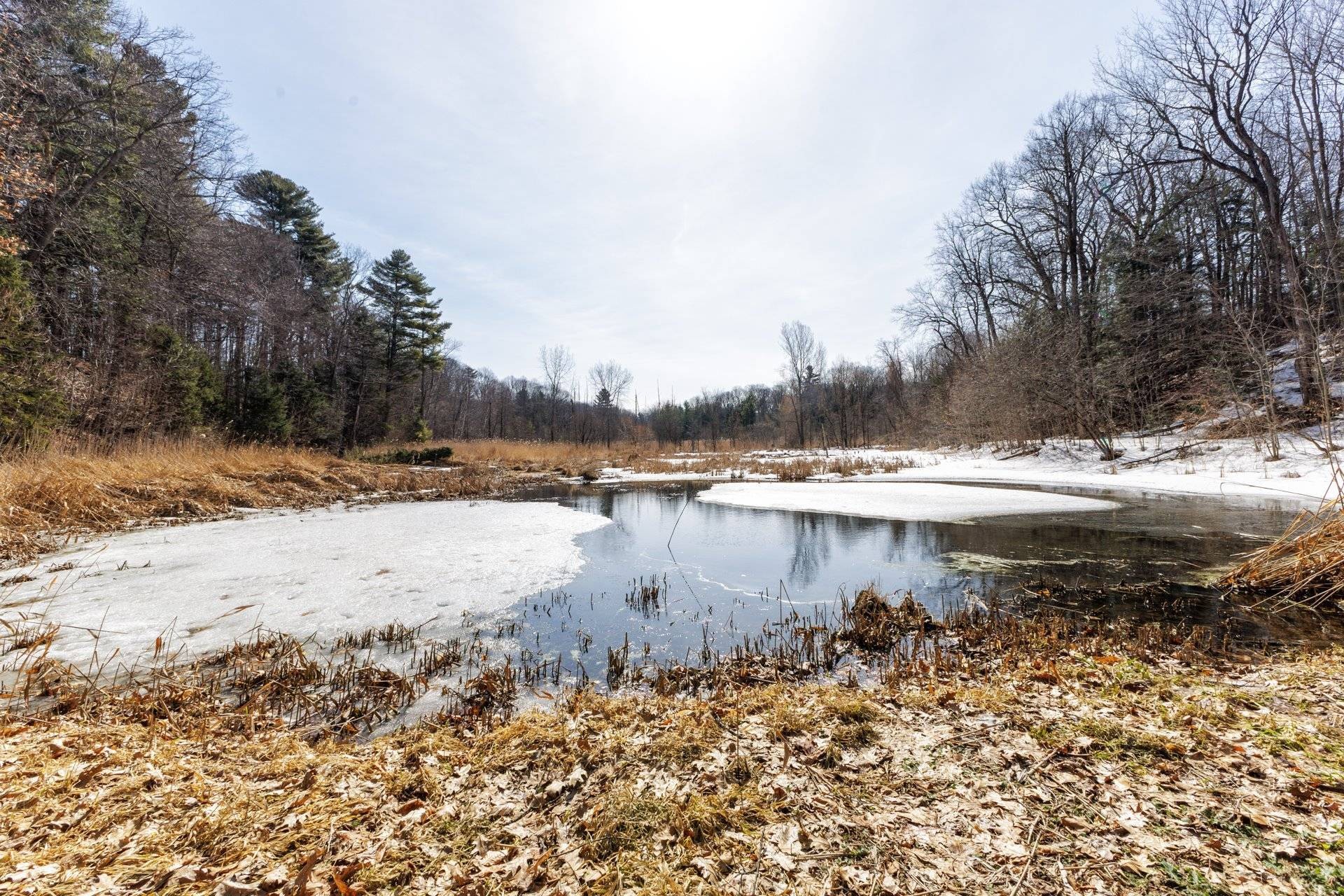 Autre - 428 Rue Brookside, Hudson, QC - Outdoor With View