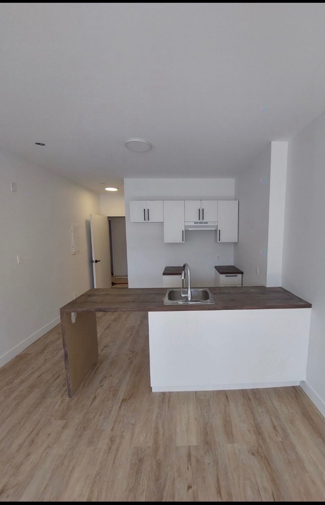 Kitchen - 101-2226 Boul. Henri-Bourassa E., Montréal (Ahuntsic-Cartierville), QC - Indoor