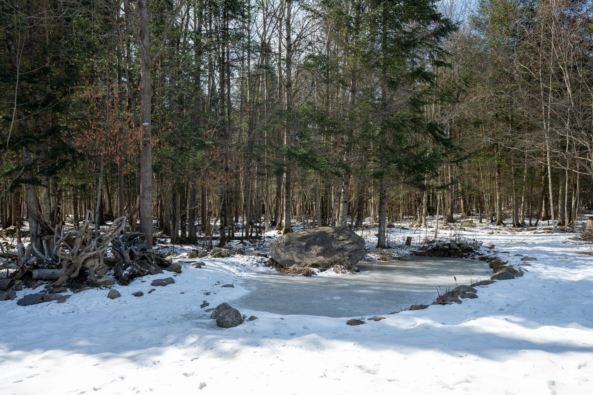 Terre/Terrain - 530 Rue Arthur-Dupuis, Sherbrooke (Brompton/Rock Forest/Saint-Élie/Deauville), QC - Outdoor With View