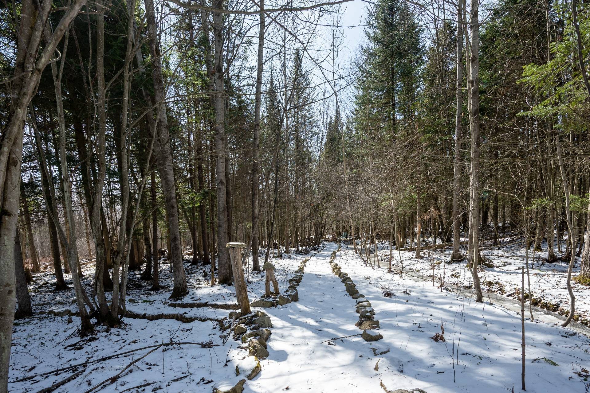 Terre/Terrain - 530 Rue Arthur-Dupuis, Sherbrooke (Brompton/Rock Forest/Saint-Élie/Deauville), QC - Outdoor With View