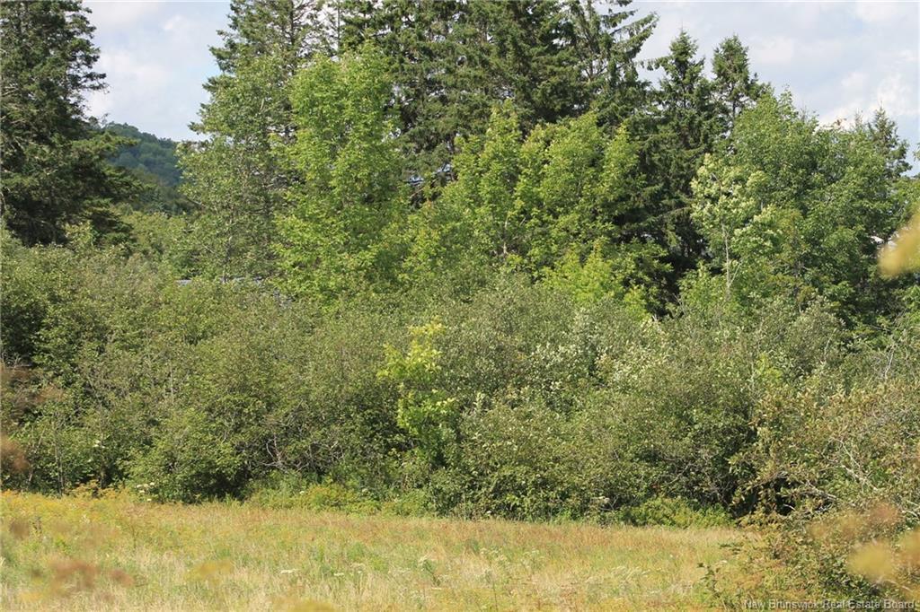 Lot Route 845, Kingston, NB
