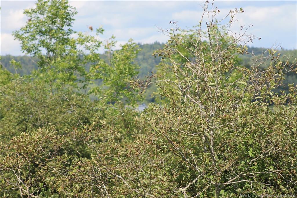 Lot Route 845, Kingston, NB