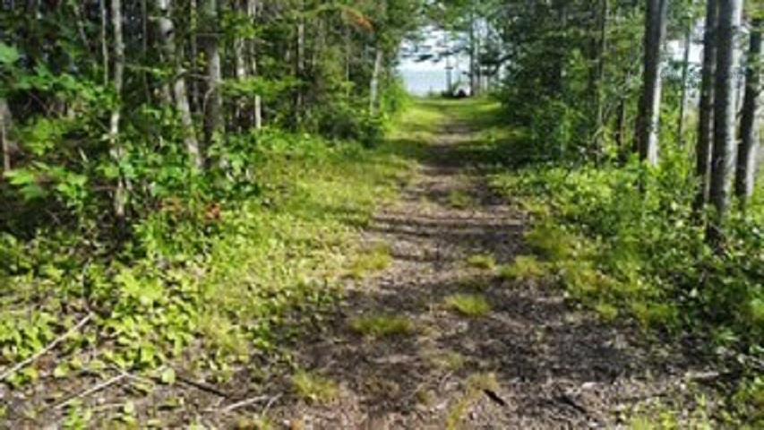 08-2 Malagash Road, Malagash Point, NS