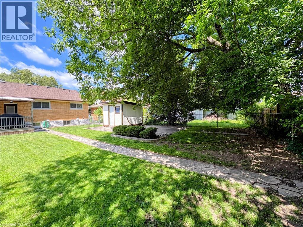 Expansive backyard featuring a manicured lawn, established shade trees, a concrete patio area, a detached storage shed, and a stone-paver walkway - 699 Frederick Street, Kitchener, ON