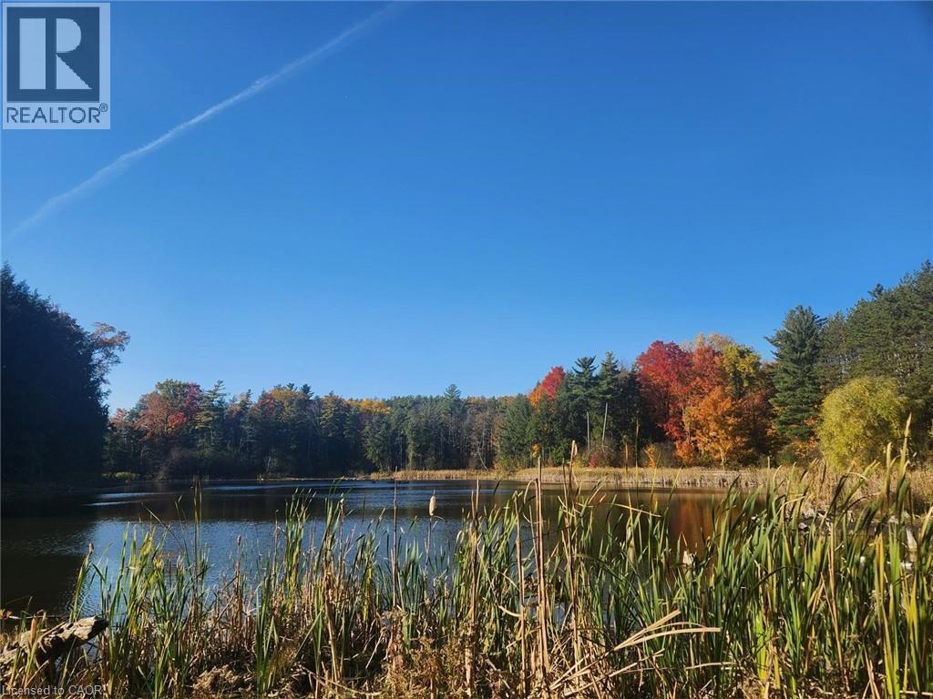 Pond close by - 469 Woodbine Avenue, Kitchener, ON - Outdoor With Body Of Water With View