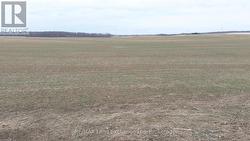 2029 HARRISTON ROAD Howick, ON N0G 1X0