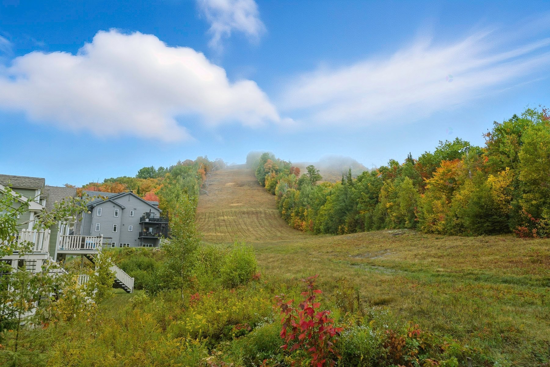View - 341 Ch. Valanza, Piedmont, QC - Outdoor With View