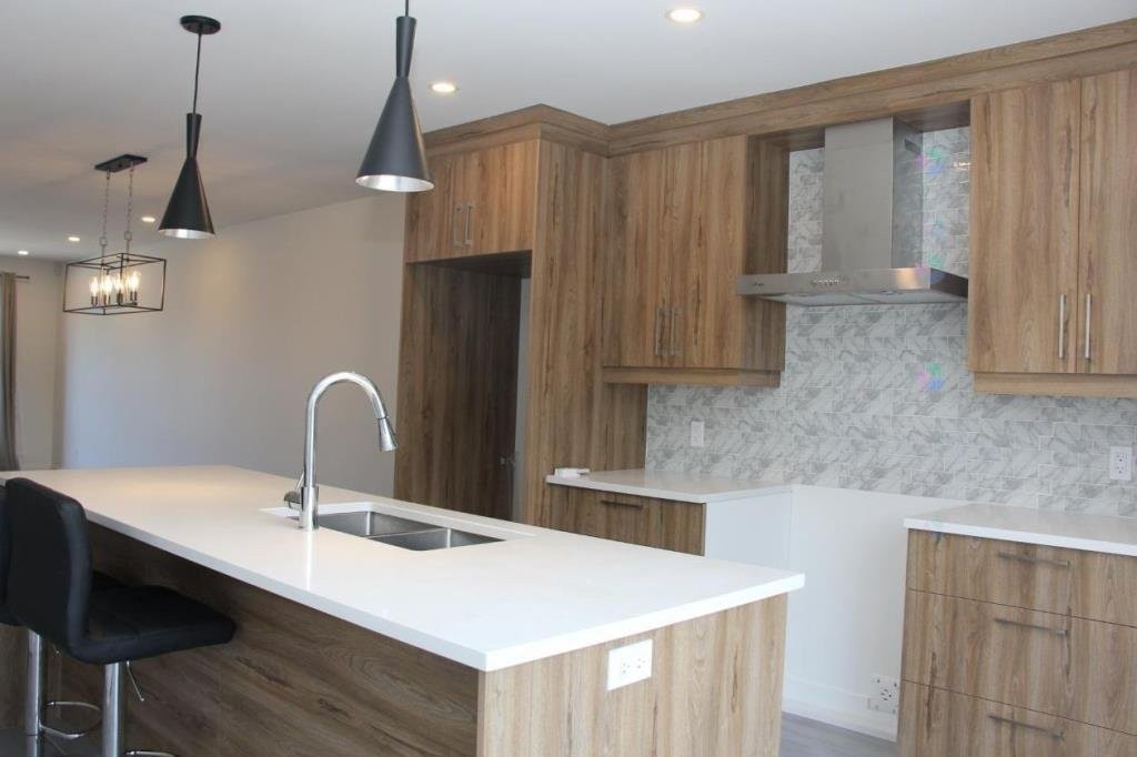 Kitchen - 3888 Rue Bernard-Hubert, Longueuil (Saint-Hubert), QC - Indoor Photo Showing Kitchen With Double Sink With Upgraded Kitchen
